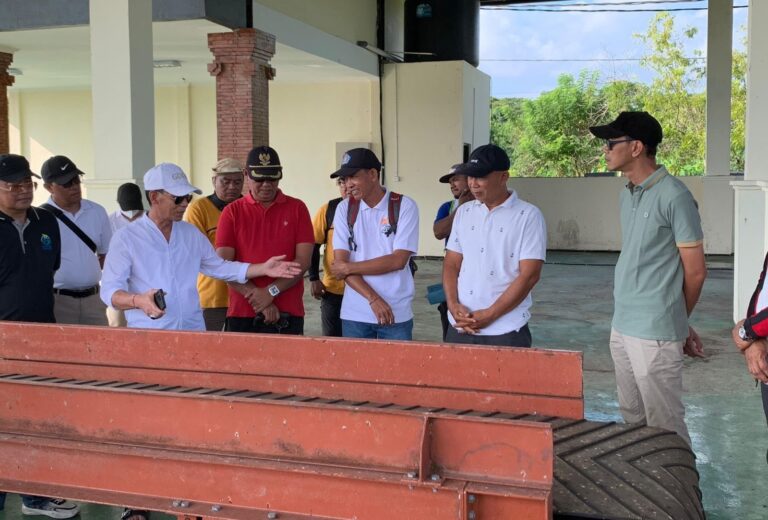 WhatsApp Image 2026-01-06 at 17.54.06