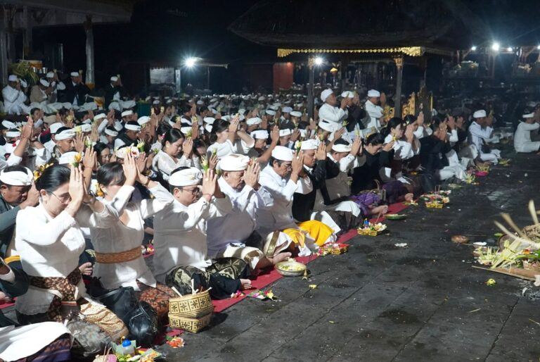 WhatsApp Image 2026-01-19 at 12.37.22 (1)