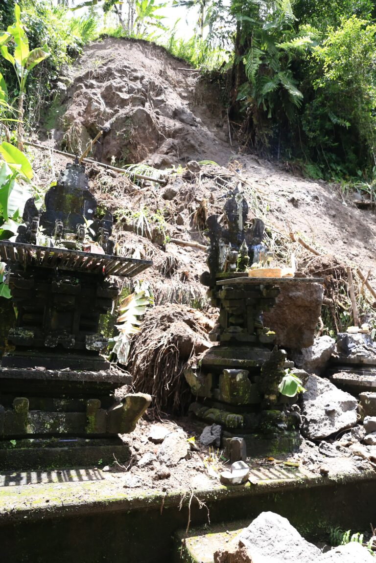 WhatsApp Image 2026-01-22 at 18.56.25 (1)