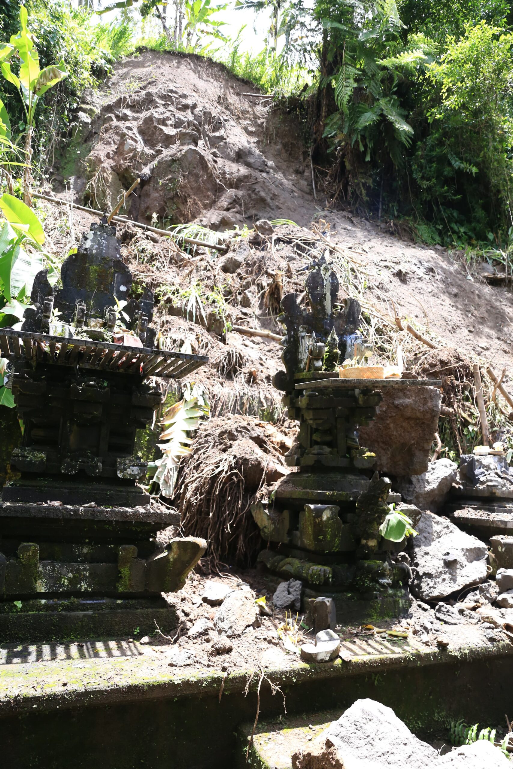 WhatsApp Image 2026-01-22 at 18.56.25 (1)