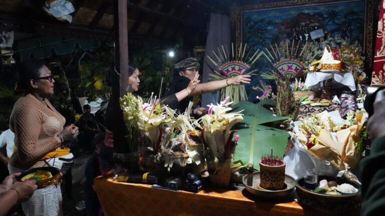 WhatsApp Image 2026-01-27 at 00.37.01