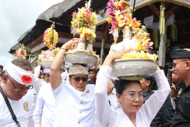 WhatsApp Image 2026-02-01 at 18.28.14