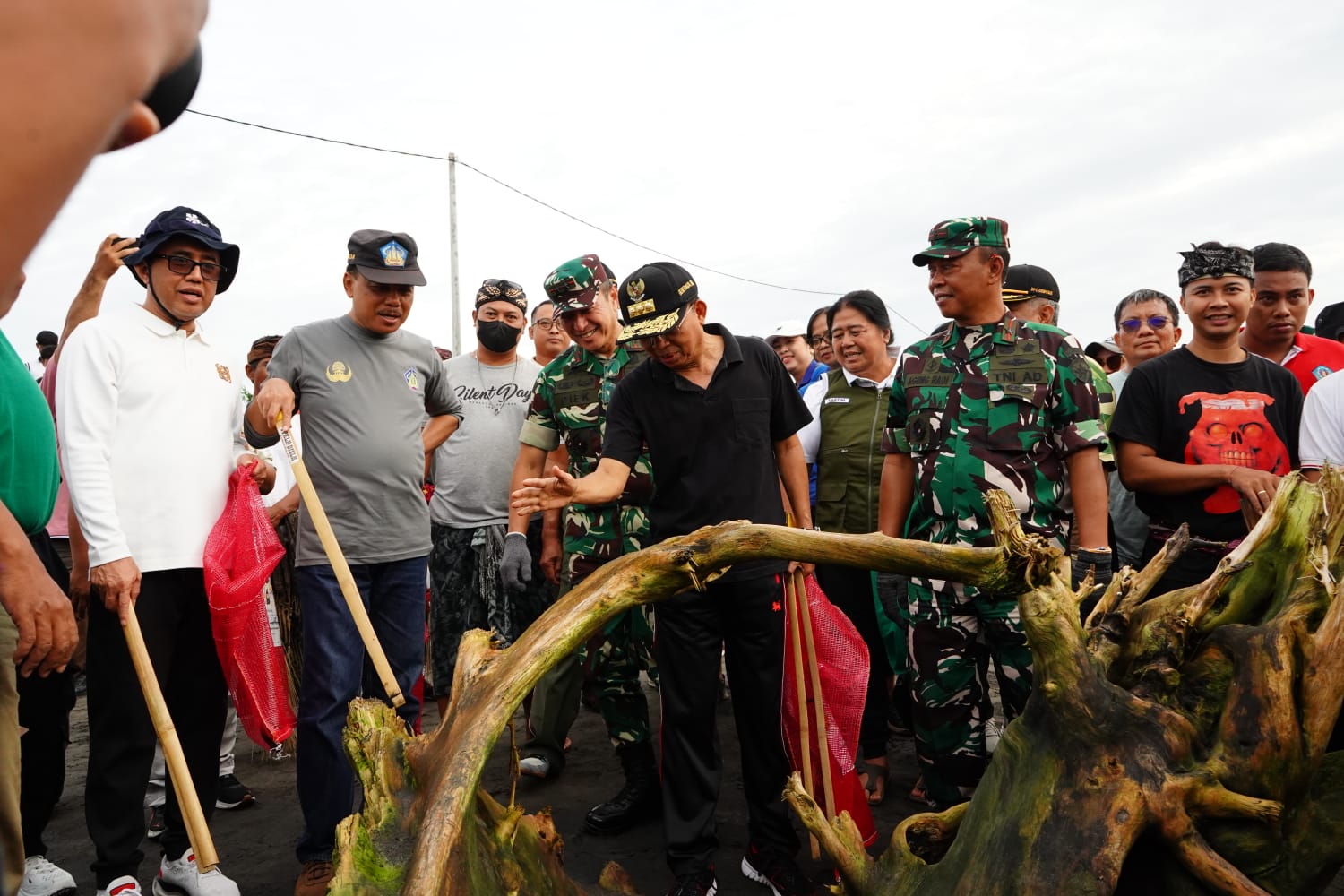 WhatsApp Image 2026-03-01 at 13.12.14