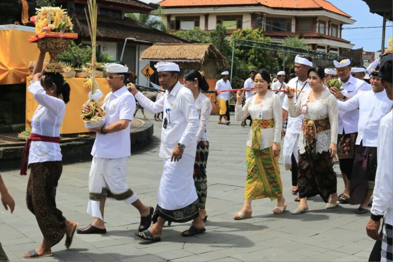 WhatsApp Image 2026-03-18 at 09.46.56