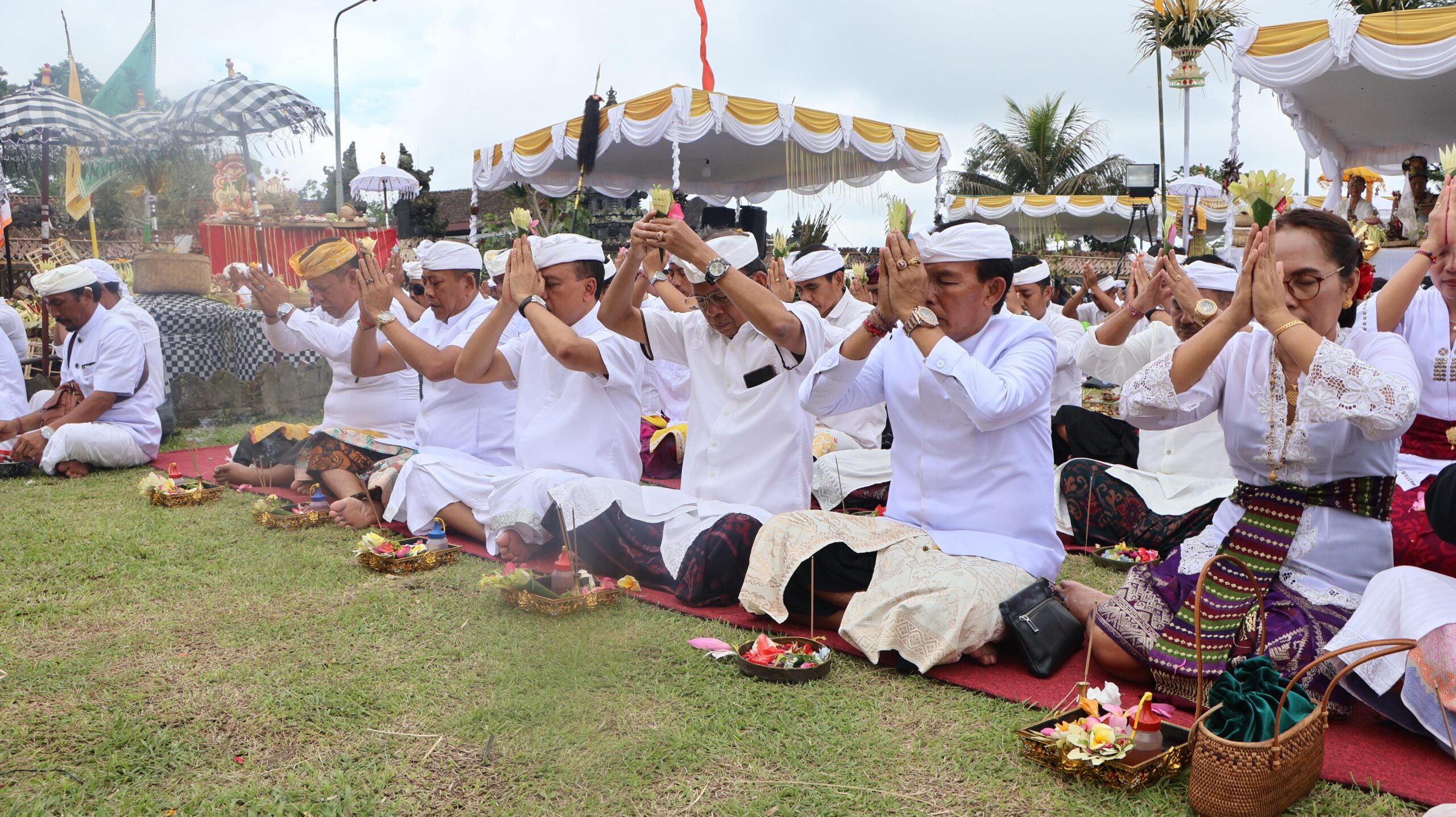 WhatsApp Image 2026-03-18 at 19.56.04