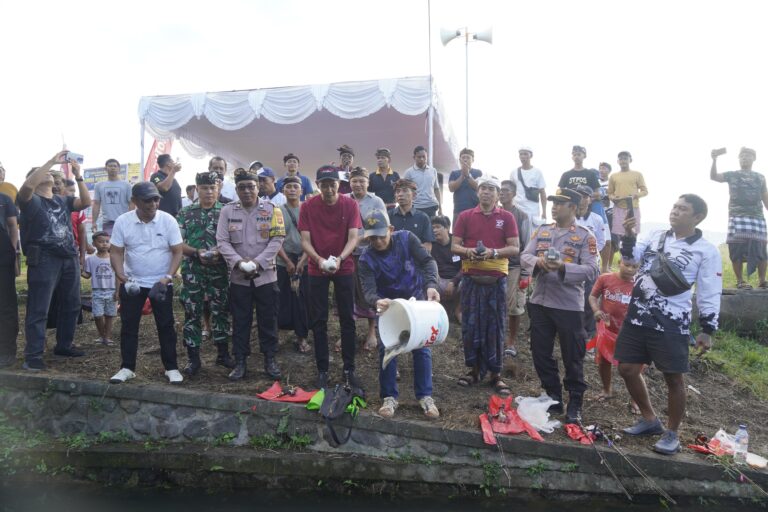 WhatsApp Image 2026-04-03 at 18.34.12