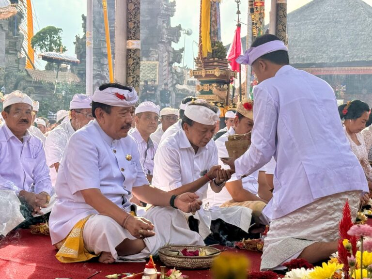 WhatsApp Image 2026-04-03 at 18.52.58