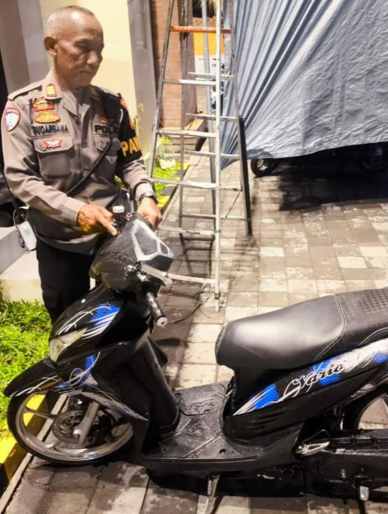 WhatsApp Image 2026-04-03 at 22.03.04