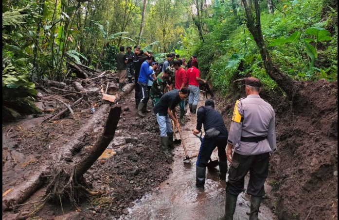 WhatsApp Image 2026-04-09 at 11.25.24