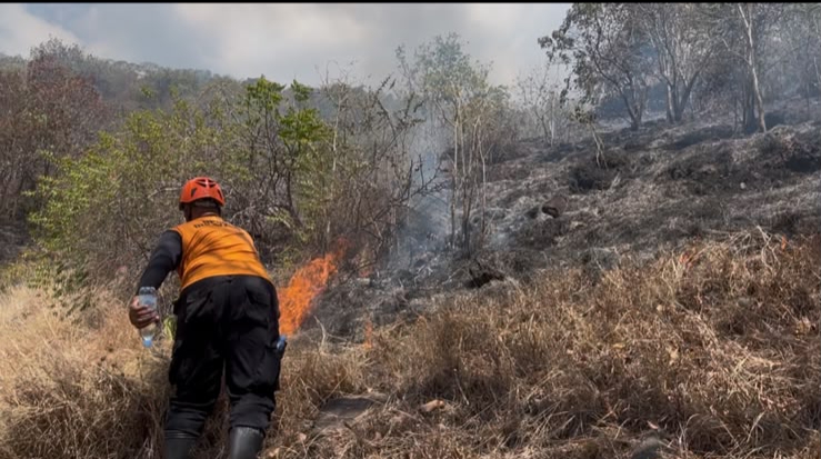 41_sinergi-tim-gabungan-diperkuat-pemadaman-kebakaran-hutan-di-pemuteran-terus-berlangsung_2026-07-18-17-11-20